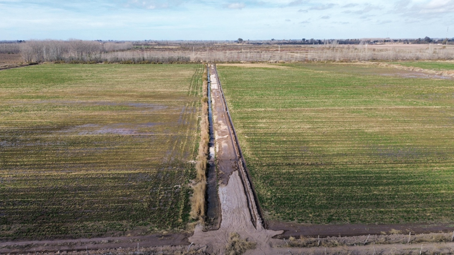 Finca en Venta en Lavalle, Mendoza