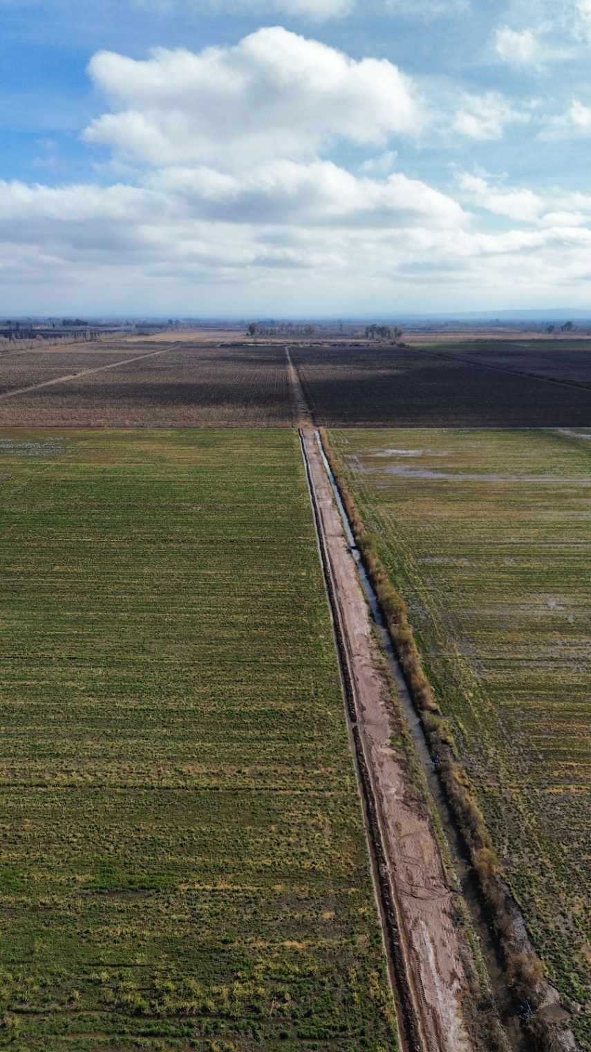 Finca en Venta en Lavalle, Mendoza