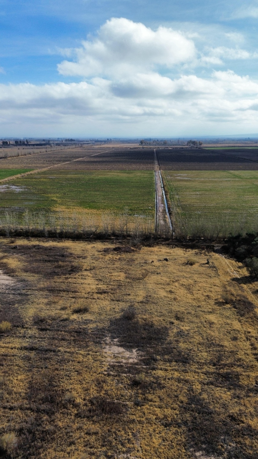 Finca en Venta en Lavalle, Mendoza