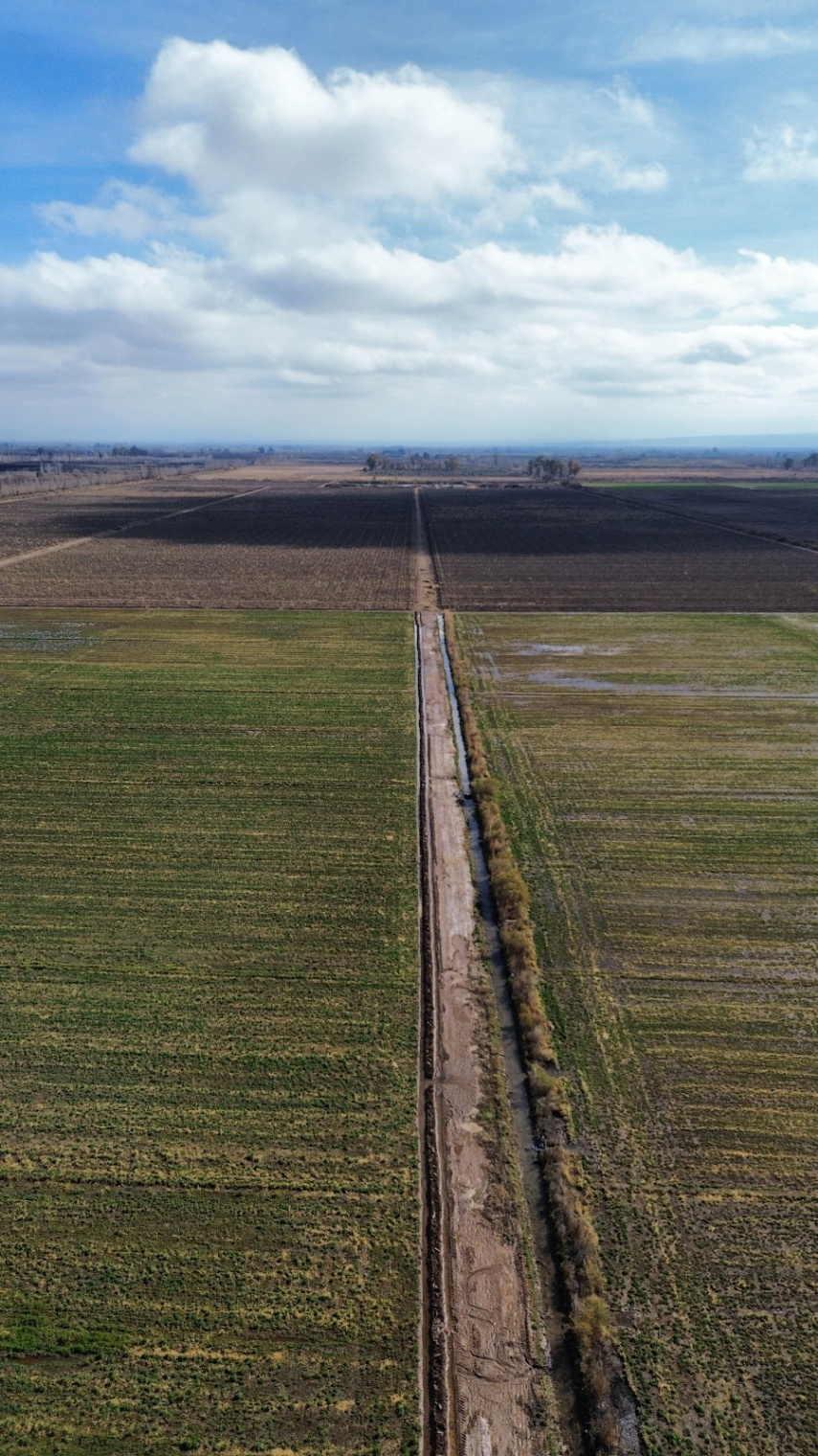 Finca en Venta en Lavalle, Mendoza
