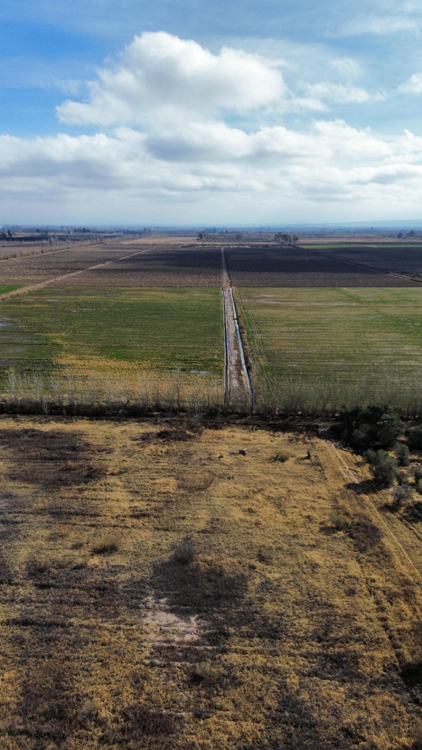 Finca en Venta en Lavalle, Mendoza