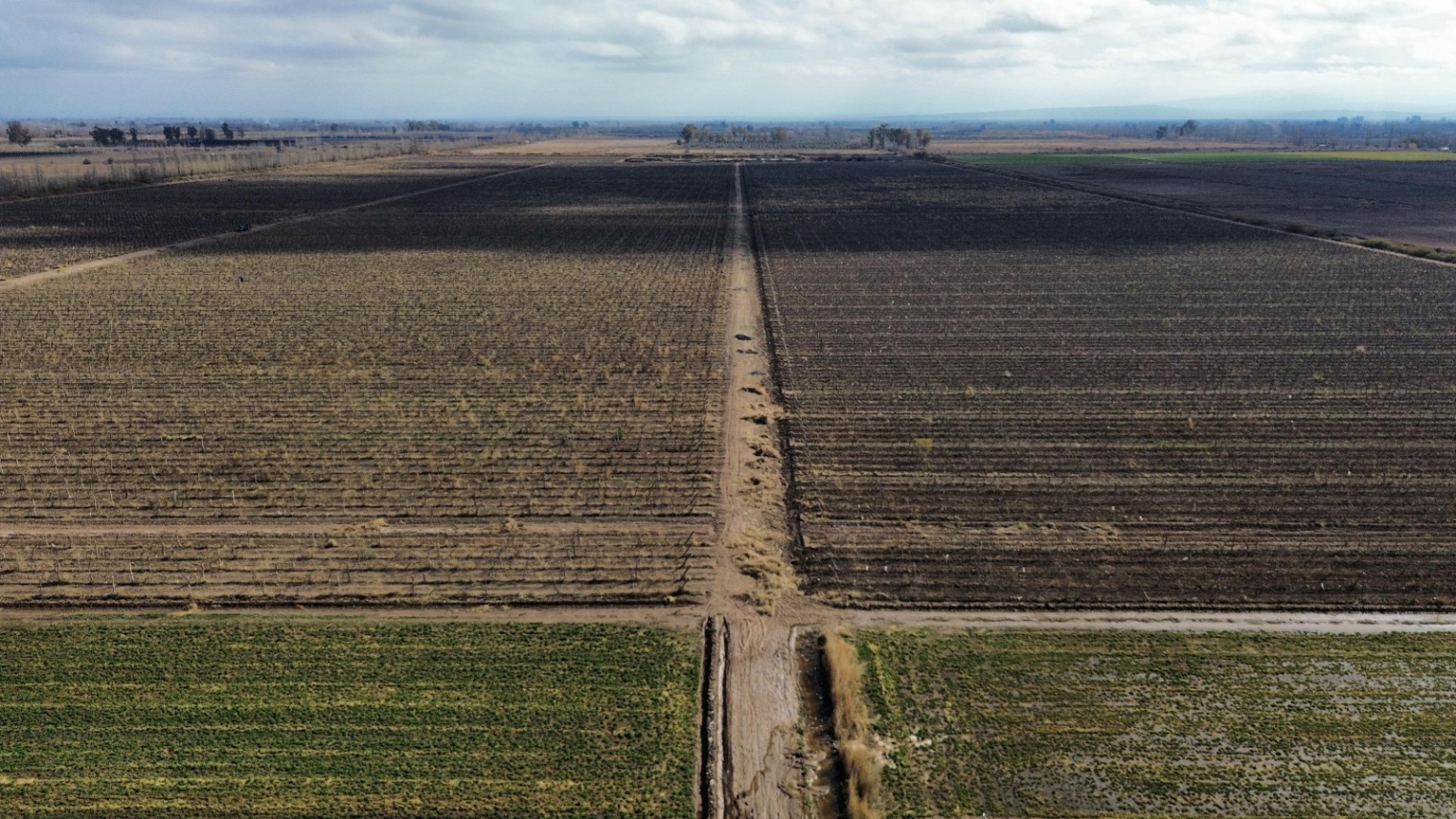 Finca en Venta en Lavalle, Mendoza