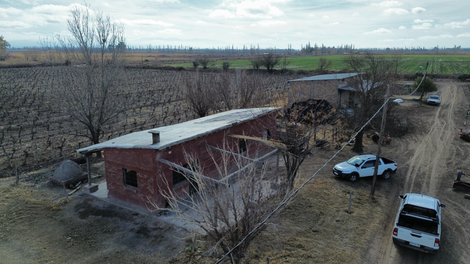 Finca en Venta en Lavalle, Mendoza