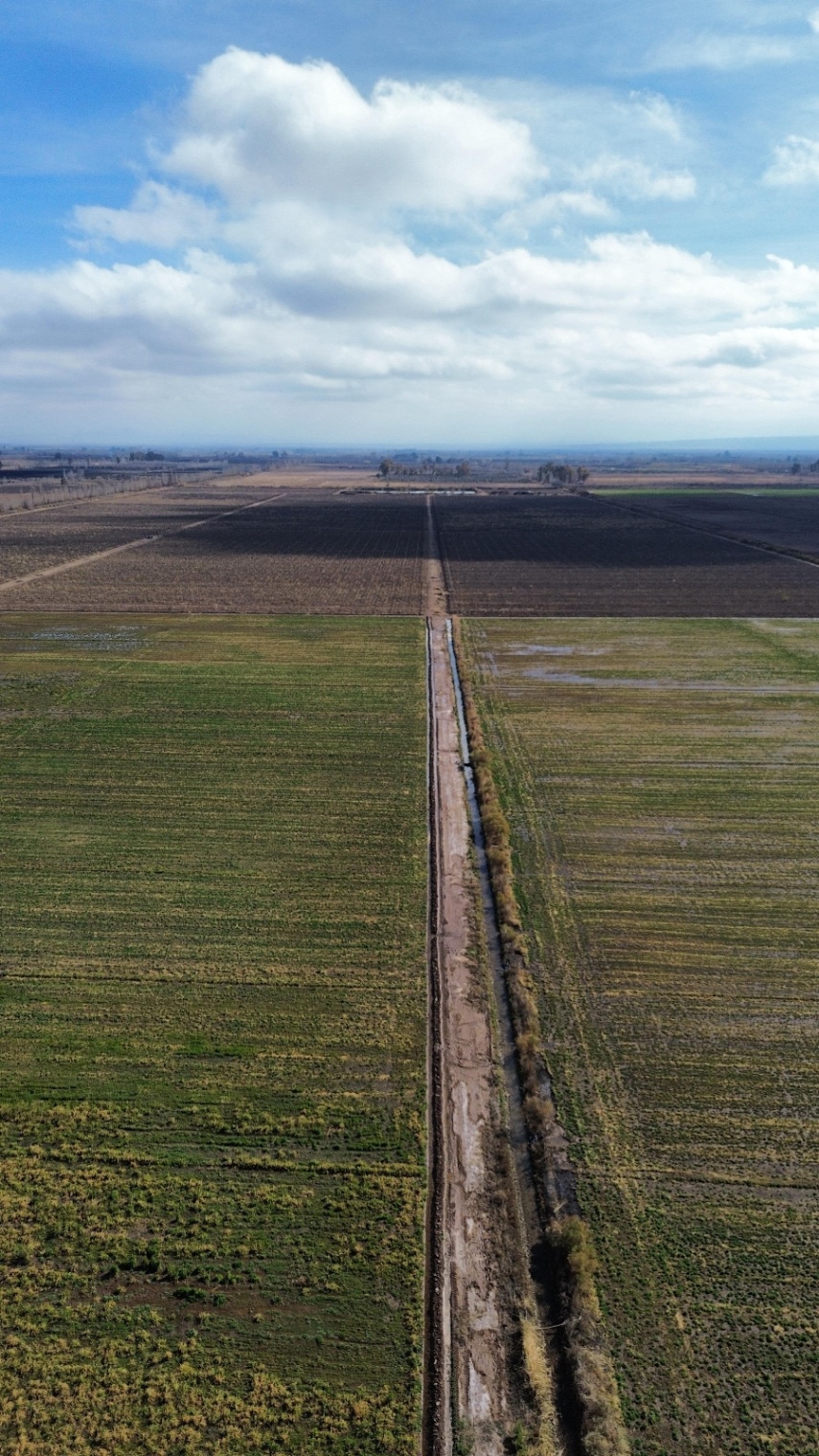 Finca en Venta en Lavalle, Mendoza