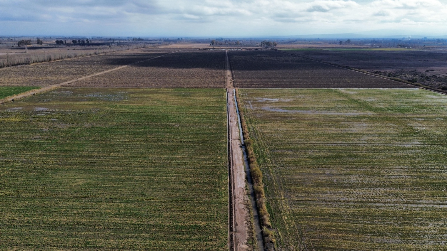 Finca en Venta en Lavalle, Mendoza
