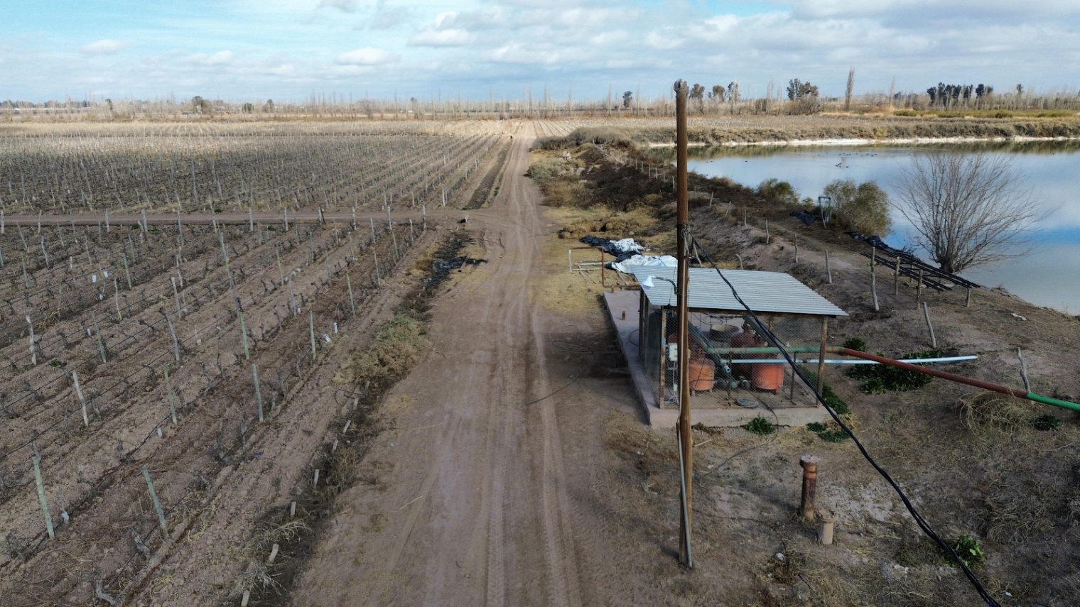 Finca en Venta en Lavalle, Mendoza