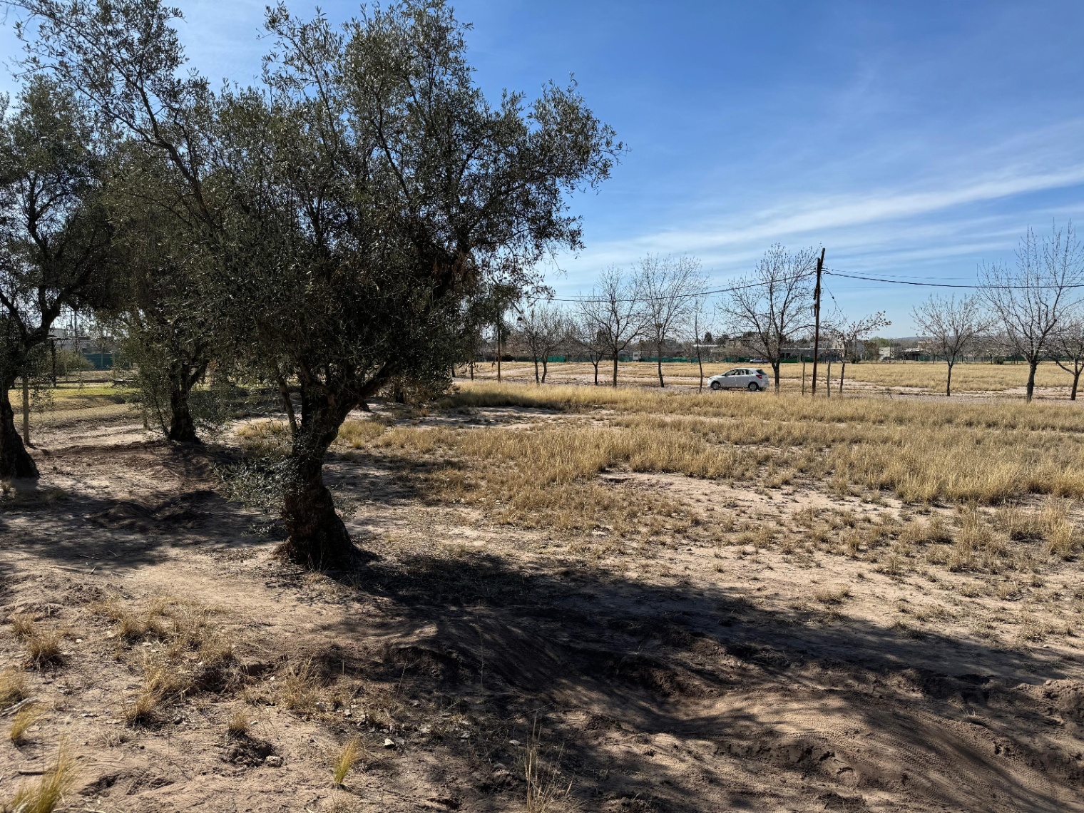 Terreno en Venta en Lujan de Cuyo, Mendoza
