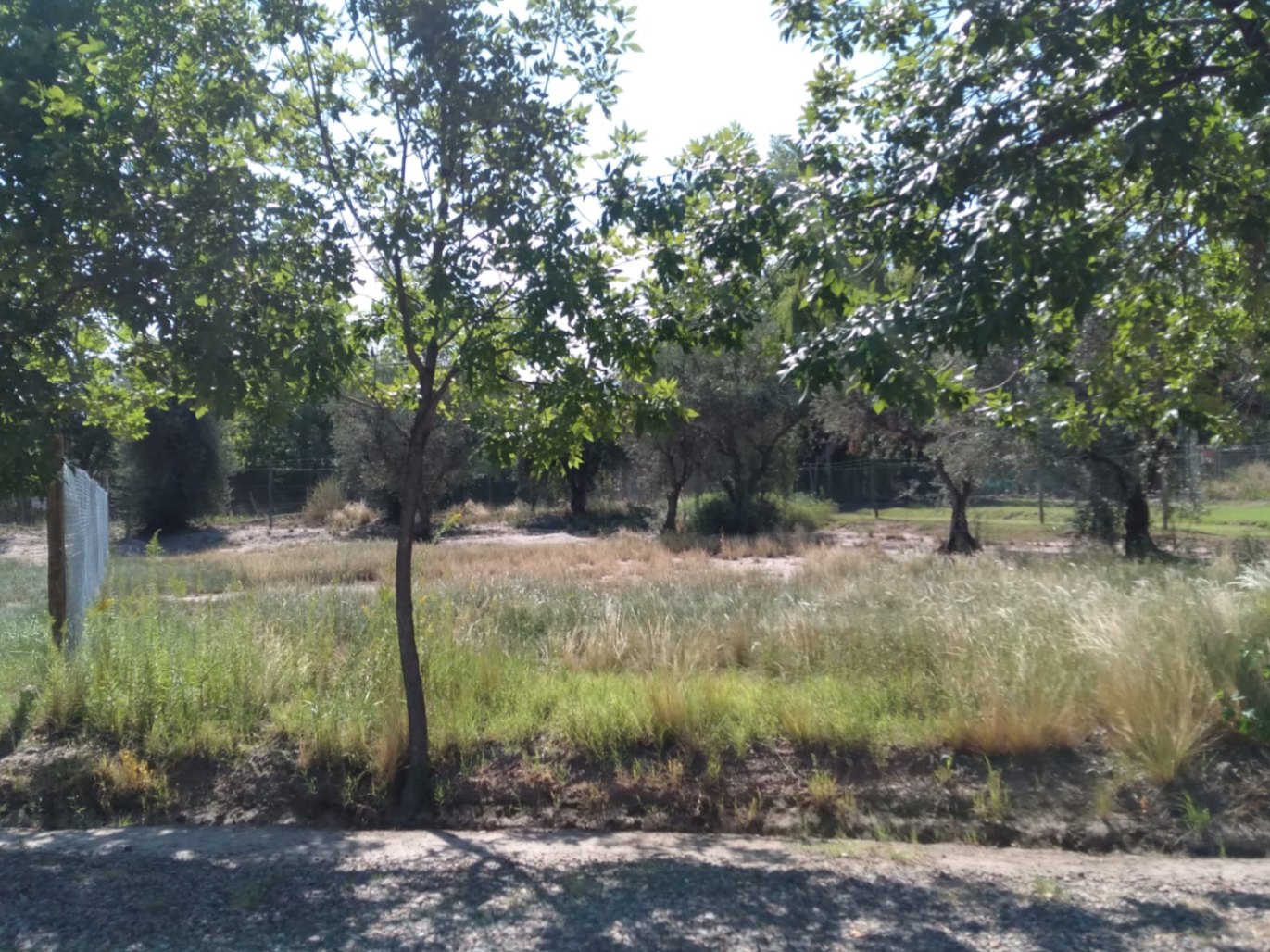 Terreno en Venta en Lujan de Cuyo, Mendoza