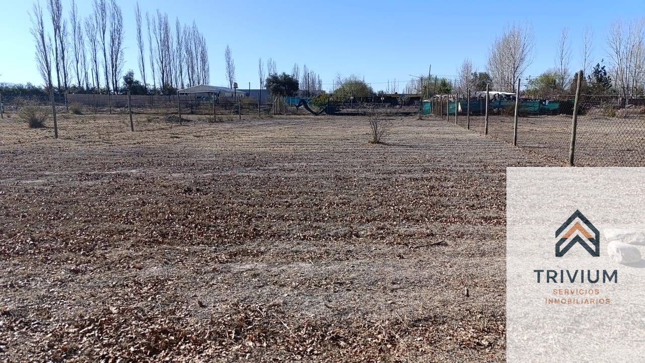 Terreno en Venta en Lujan de Cuyo, Mendoza