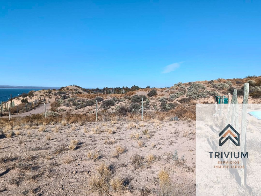 Terreno en Venta en Lujan de Cuyo, Mendoza