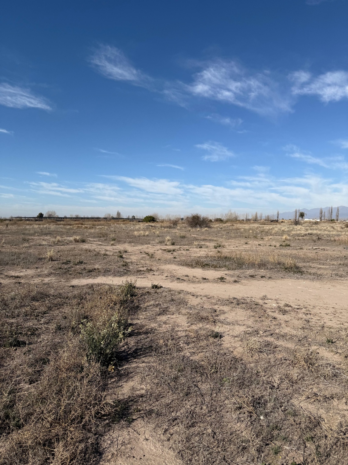 Terreno en Venta en San Carlos, Mendoza