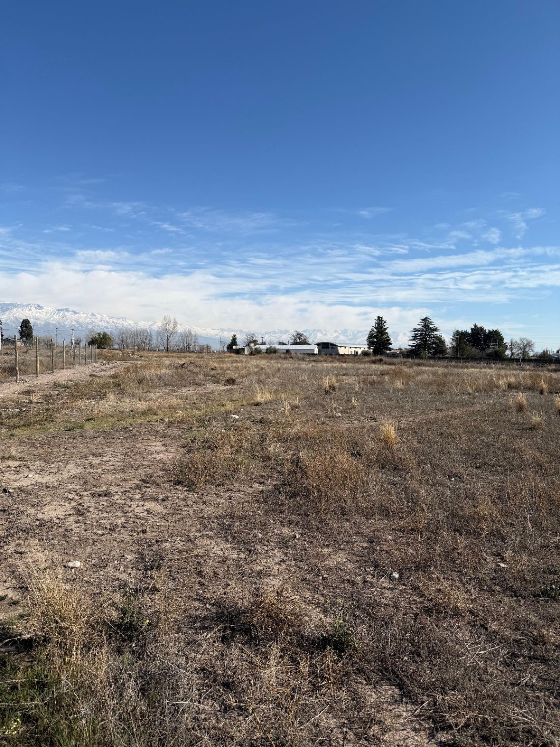 Terreno en Venta en San Carlos, Mendoza