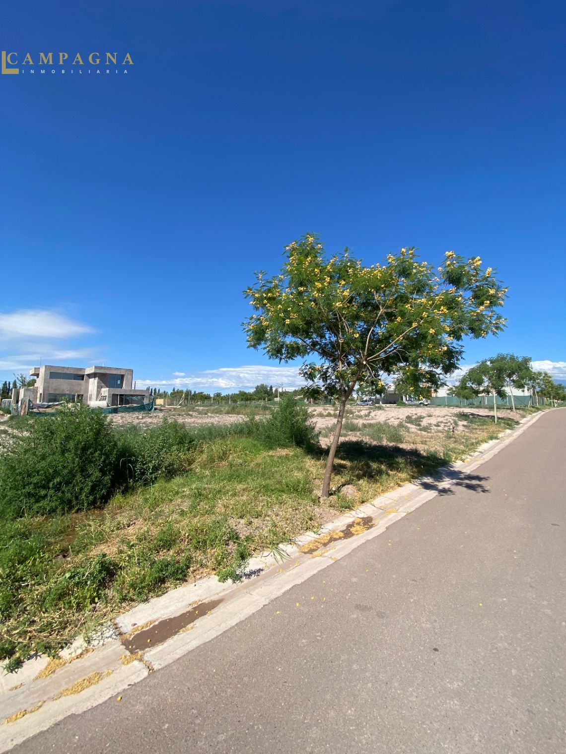 Terreno en Venta en Lujan de Cuyo, Mendoza