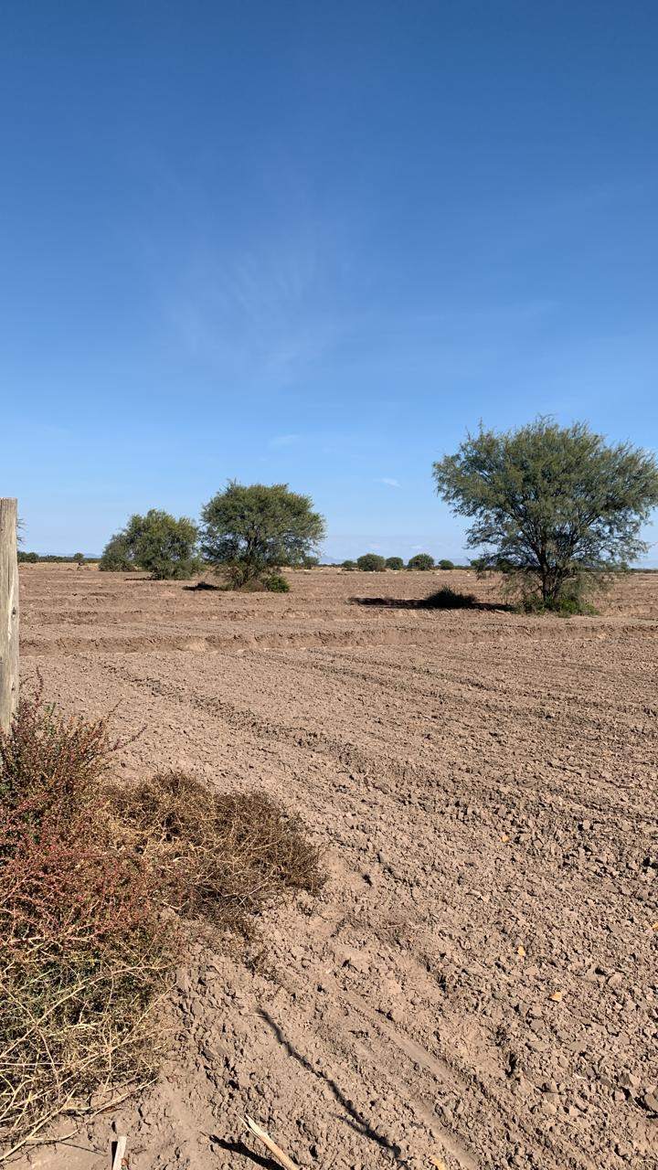 Finca en Venta en San Rafael, Mendoza