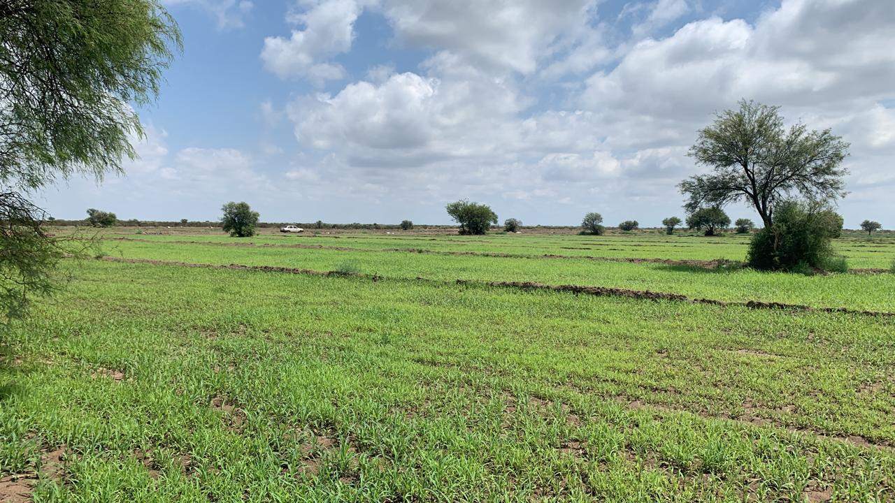 Finca en Venta en San Rafael, Mendoza