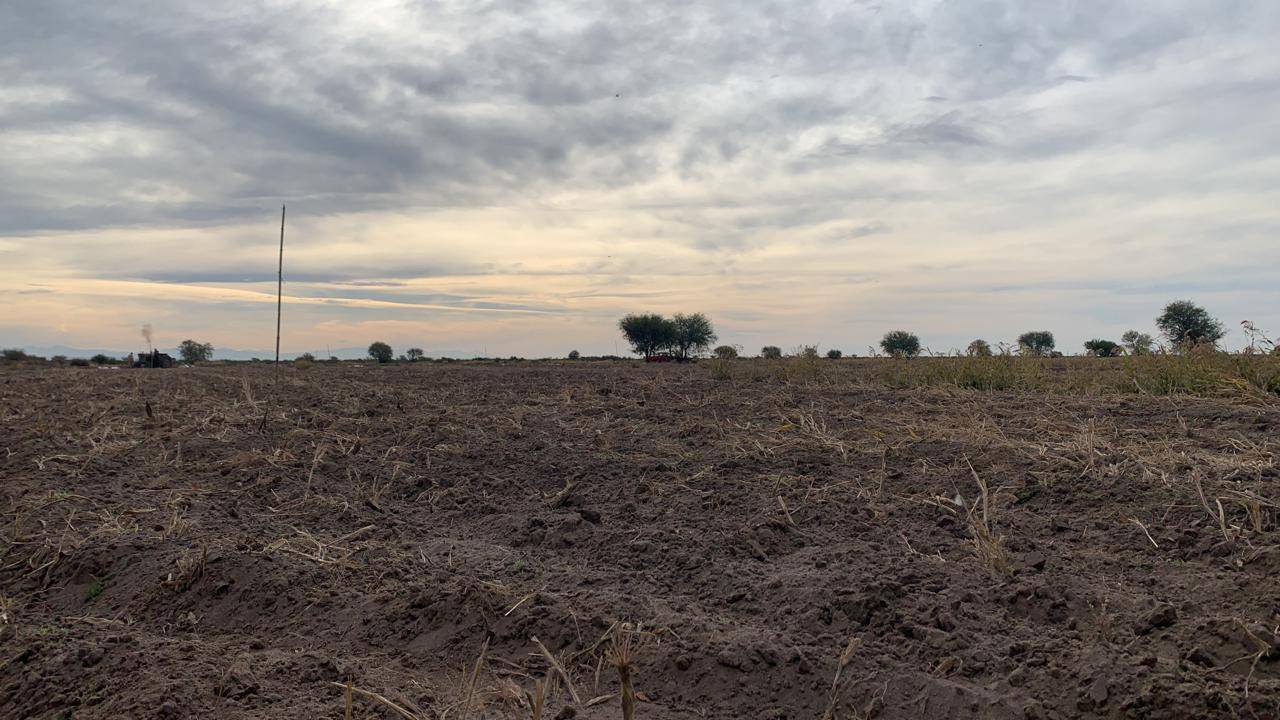 Finca en Venta en San Rafael, Mendoza