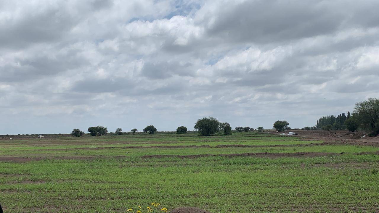 Finca en Venta en San Rafael, Mendoza
