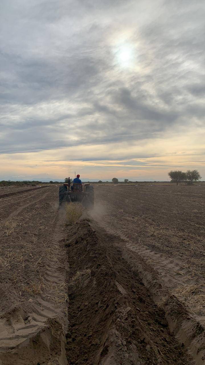 Finca en Venta en San Rafael, Mendoza