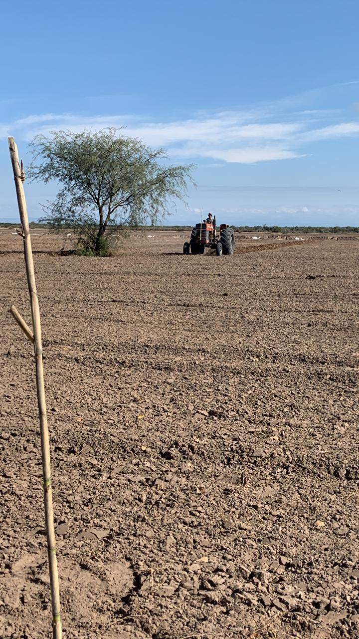 Finca en Venta en San Rafael, Mendoza
