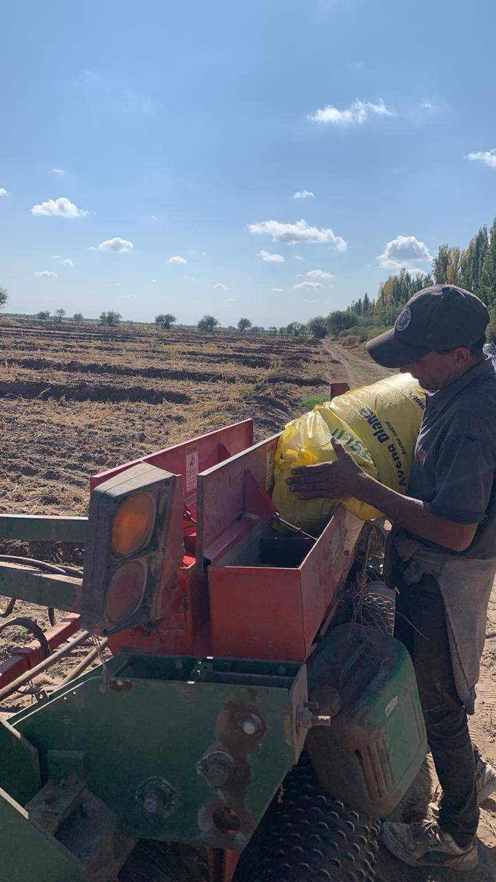 Finca en Venta en San Rafael, Mendoza