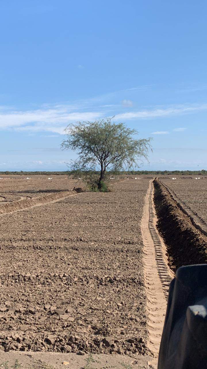 Finca en Venta en San Rafael, Mendoza