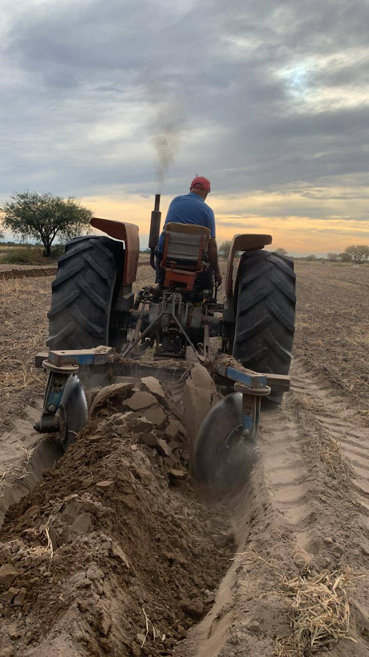 Finca en Venta en San Rafael, Mendoza