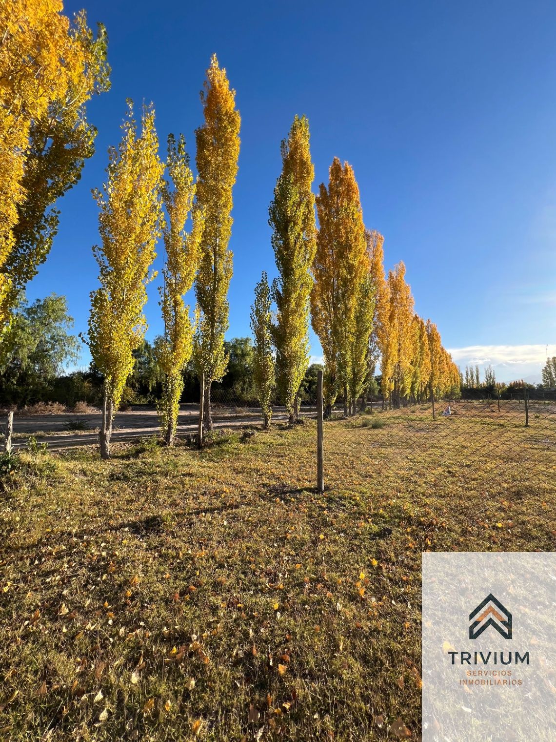 Terreno en Venta en Maipu, Mendoza