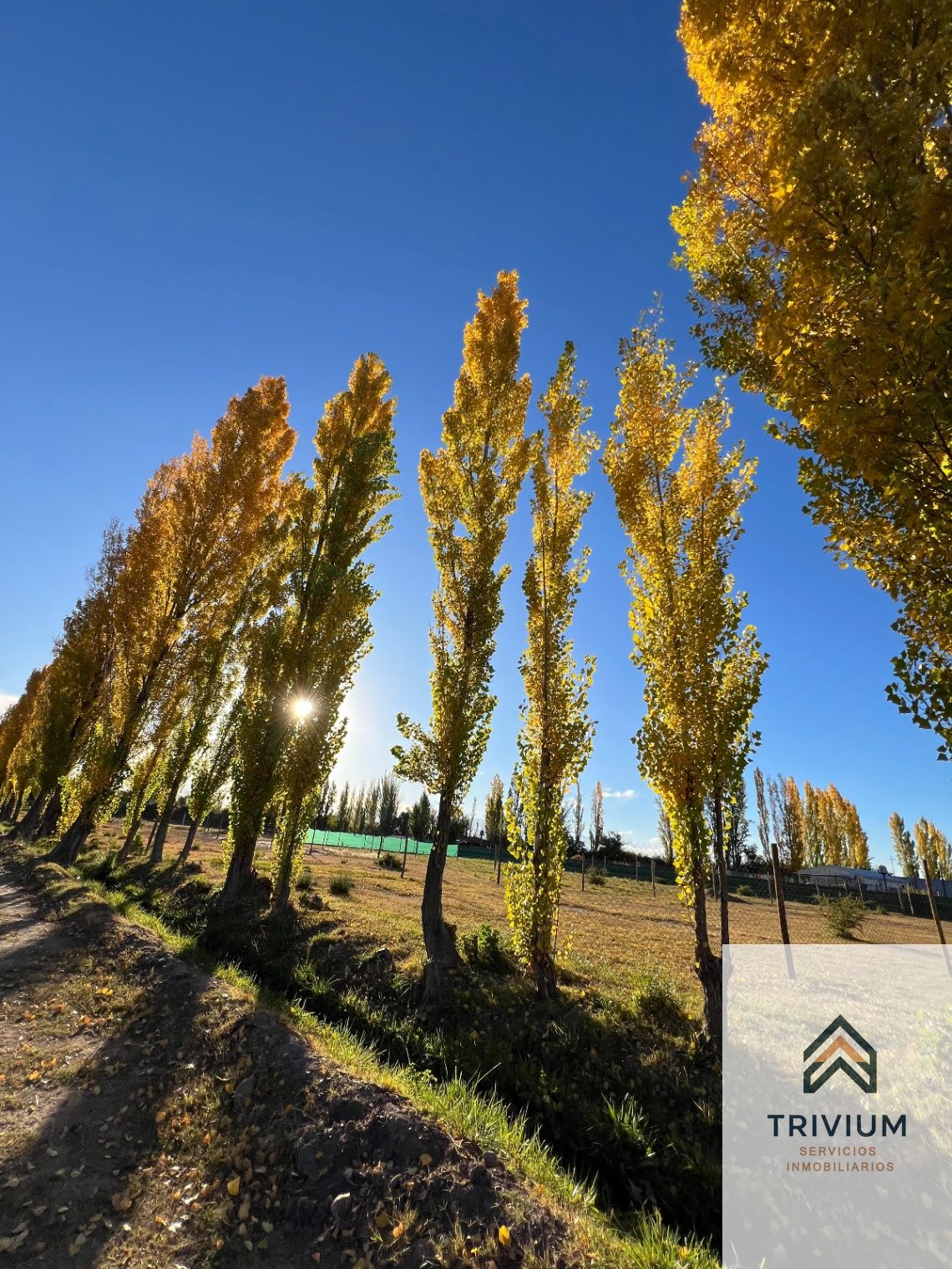 Terreno en Venta en Maipu, Mendoza