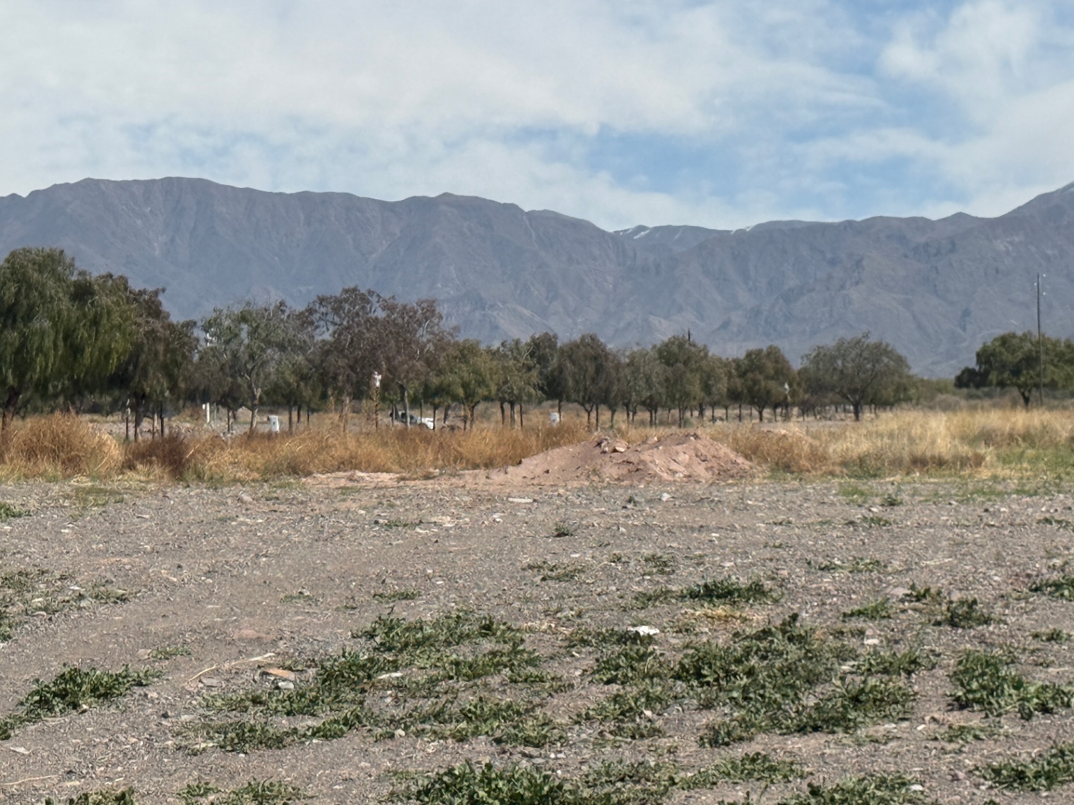 Terreno en Venta en Capital, Mendoza