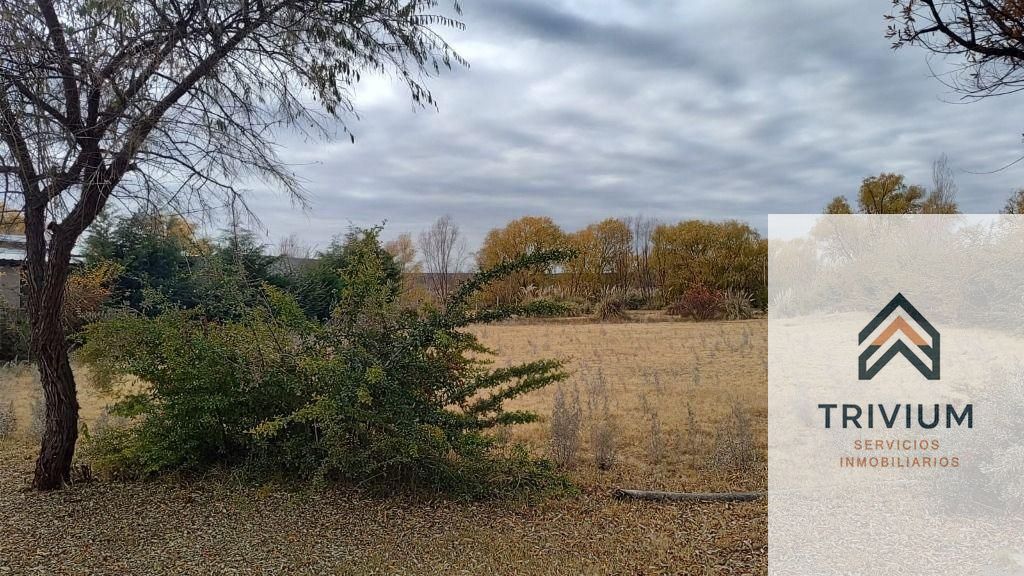 Terreno en Venta en San Carlos, Mendoza