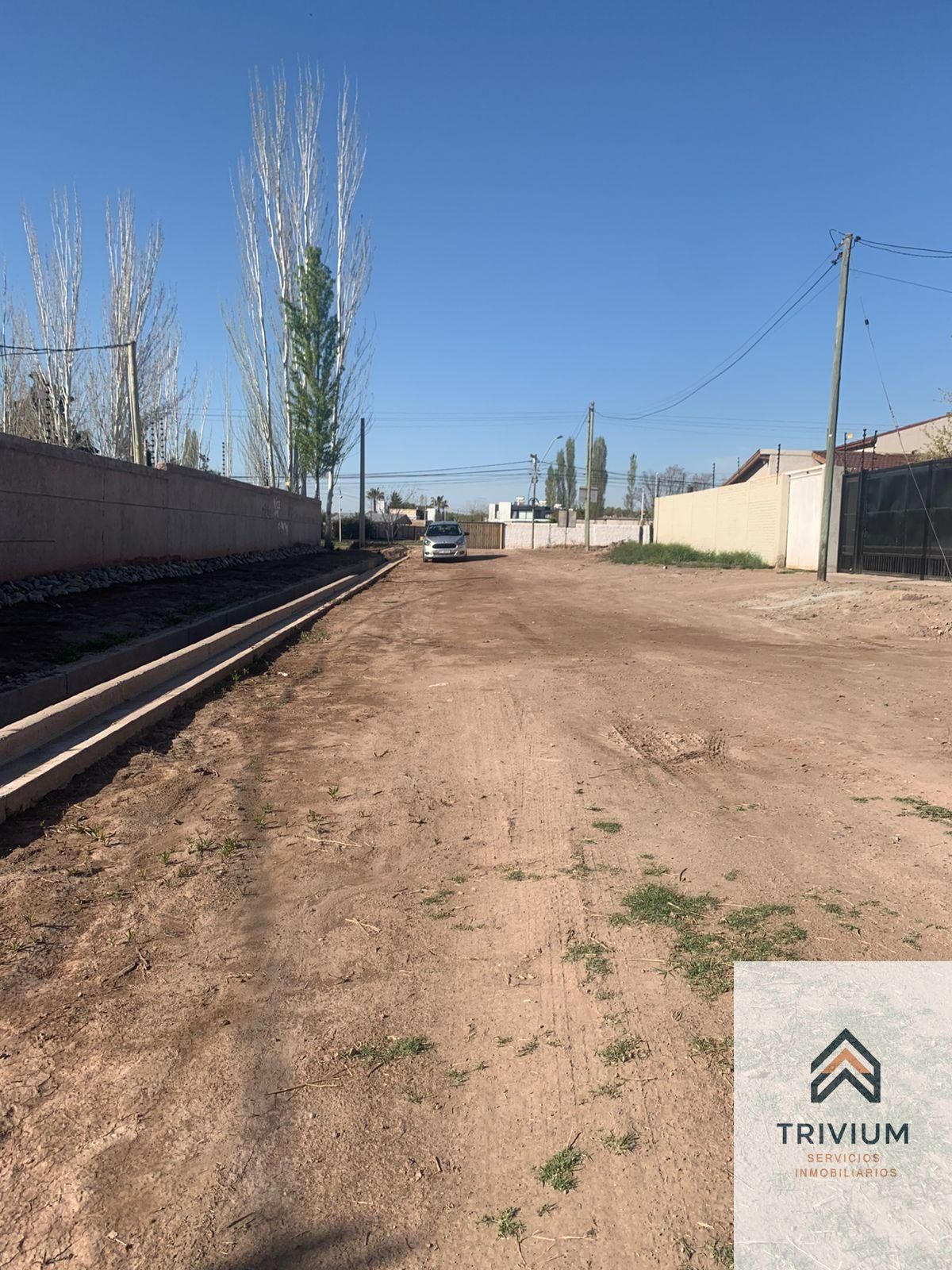 Terreno en Venta en Lujan de Cuyo, Mendoza