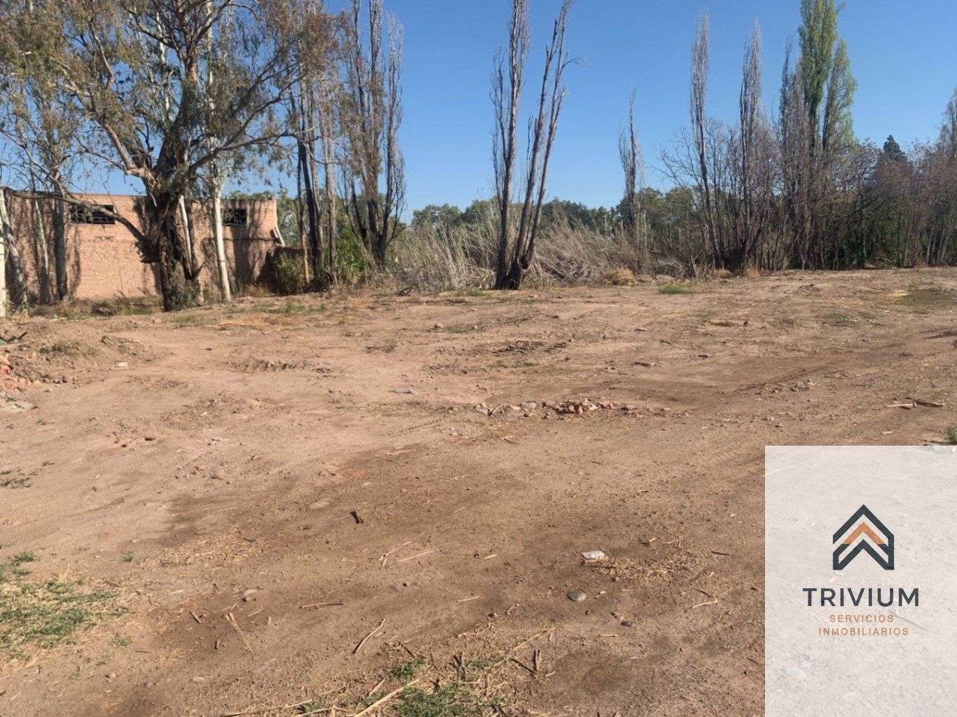 Terreno en Venta en Lujan de Cuyo, Mendoza