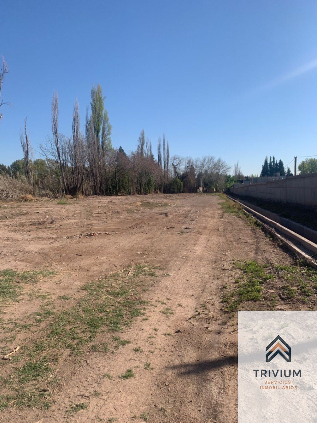 Terreno en Venta en Lujan de Cuyo, Mendoza