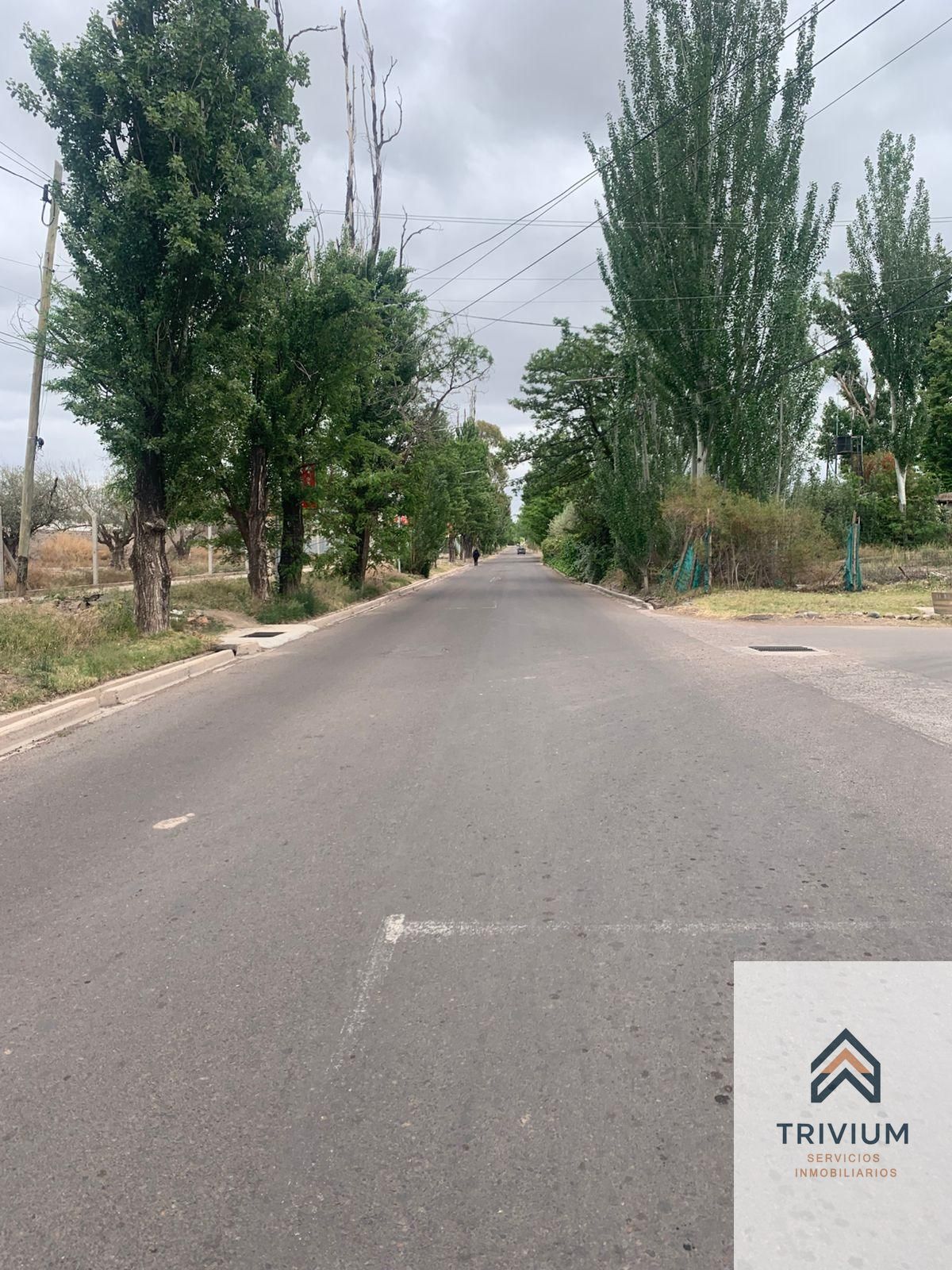 Terreno en Venta en Lujan de Cuyo, Mendoza