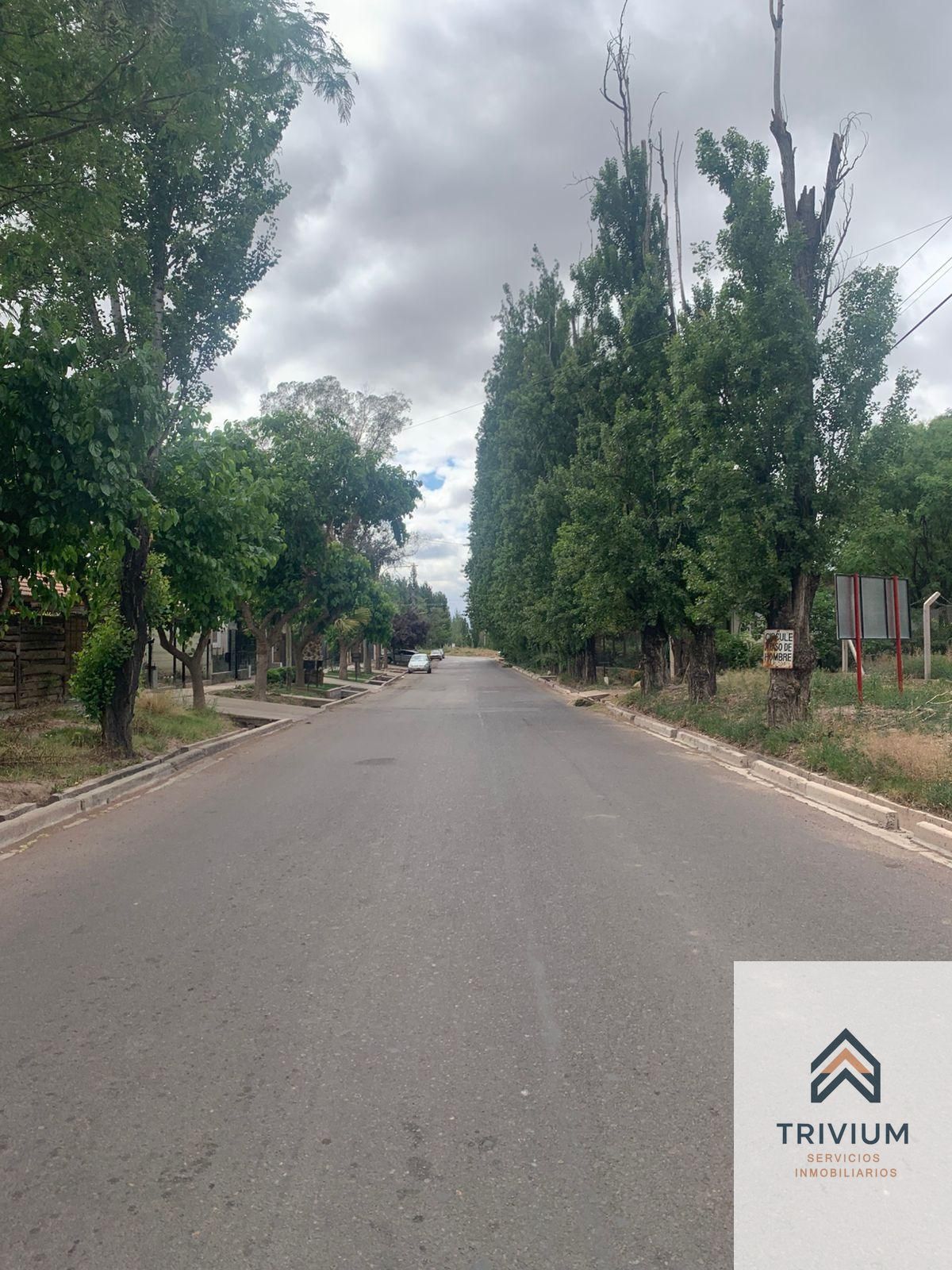 Terreno en Venta en Lujan de Cuyo, Mendoza