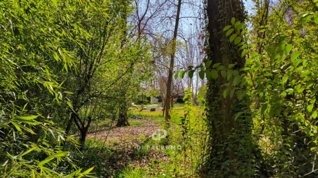 Terreno en Venta en Lujan de Cuyo, Mendoza