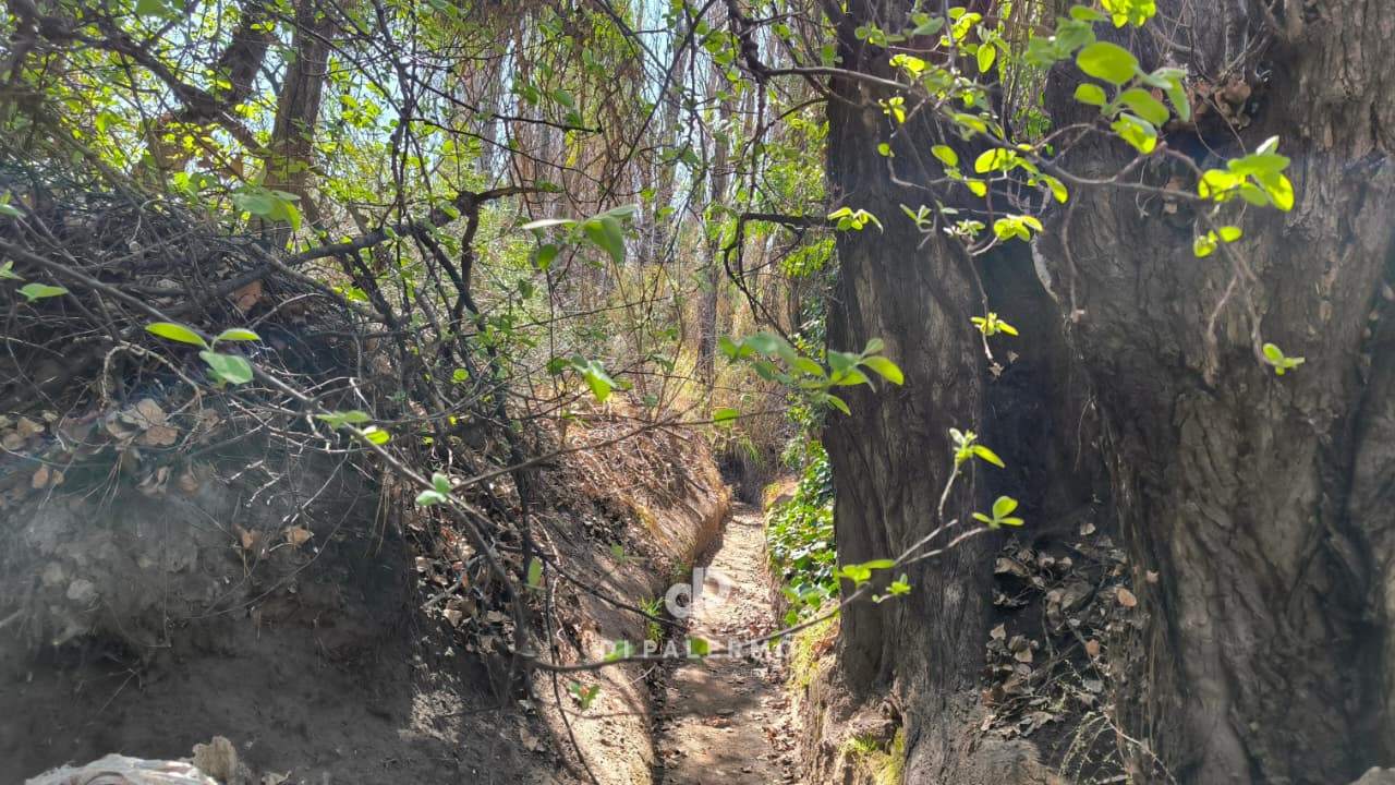 Terreno en Venta en Lujan de Cuyo, Mendoza