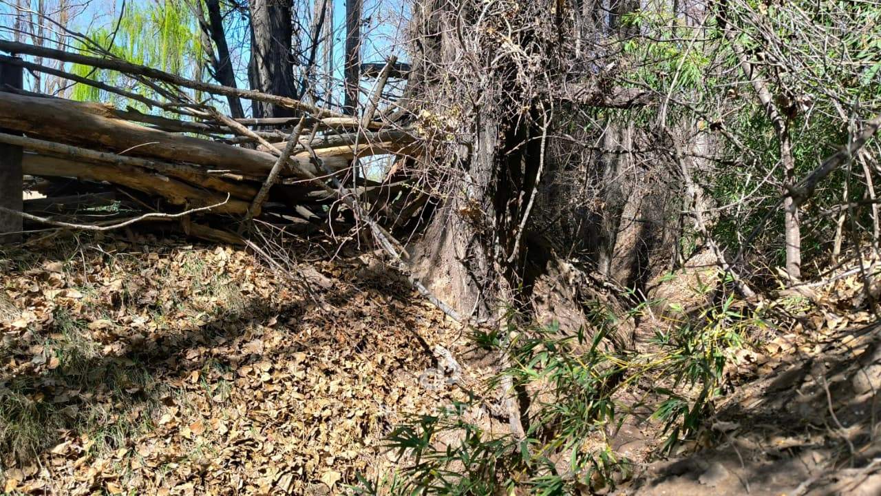 Terreno en Venta en Lujan de Cuyo, Mendoza