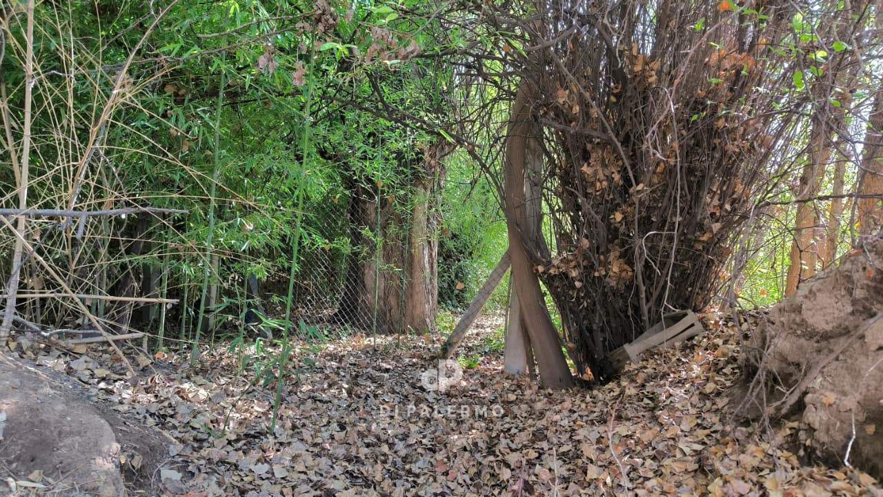 Terreno en Venta en Lujan de Cuyo, Mendoza