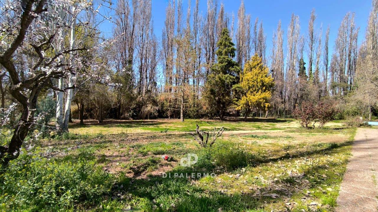 Terreno en Venta en Lujan de Cuyo, Mendoza