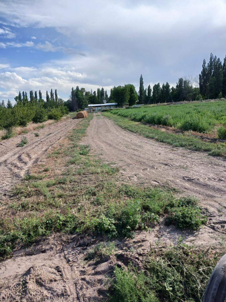 Finca en Venta en San Rafael, Mendoza