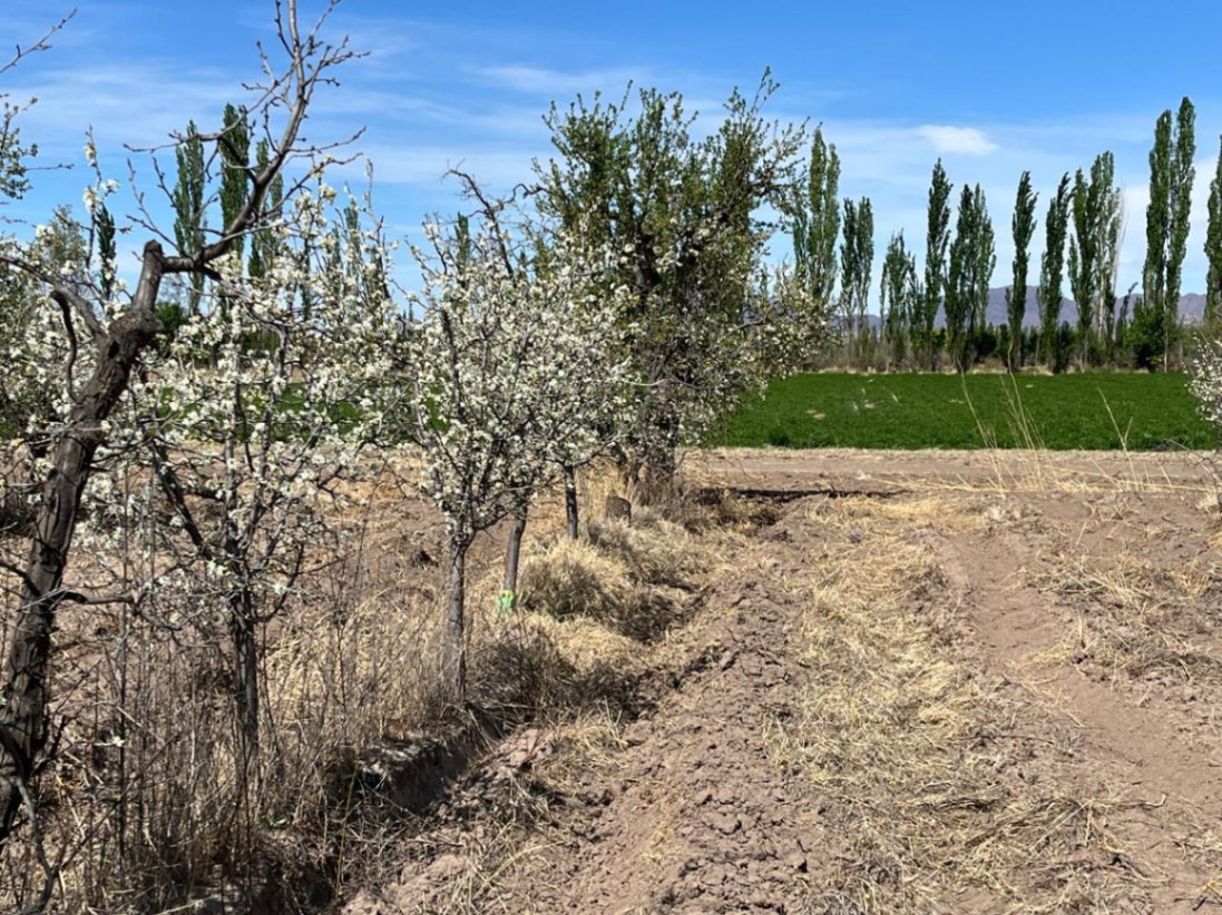 Finca en Venta en San Rafael, Mendoza