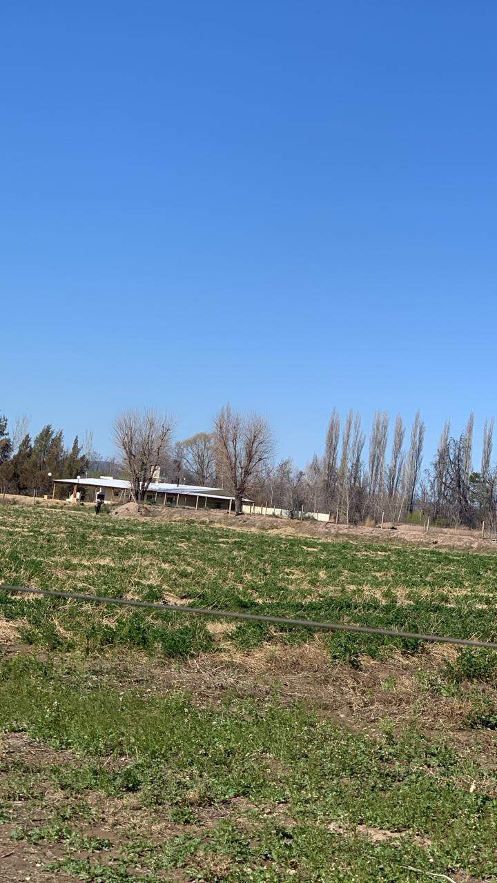 Finca en Venta en San Rafael, Mendoza