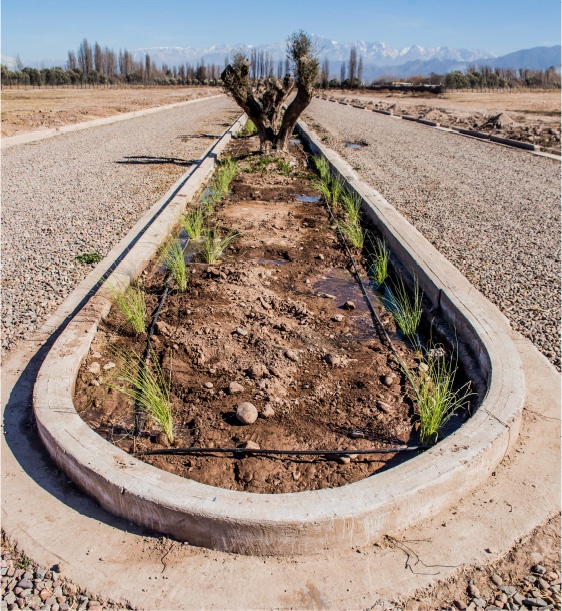 Terreno en Venta en Lujan de Cuyo, Mendoza