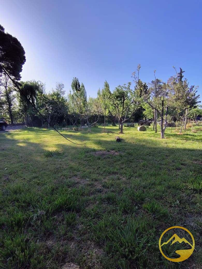 Terreno en Venta en Tunuyan, Mendoza
