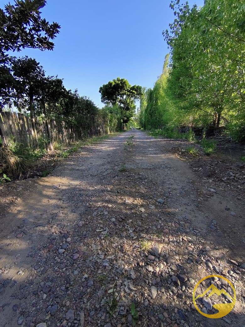 Terreno en Venta en Tunuyan, Mendoza