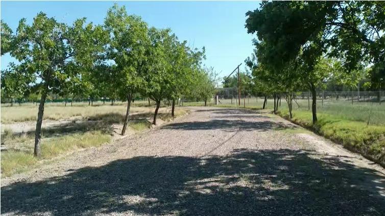 Terreno en Venta en Lujan de Cuyo, Mendoza