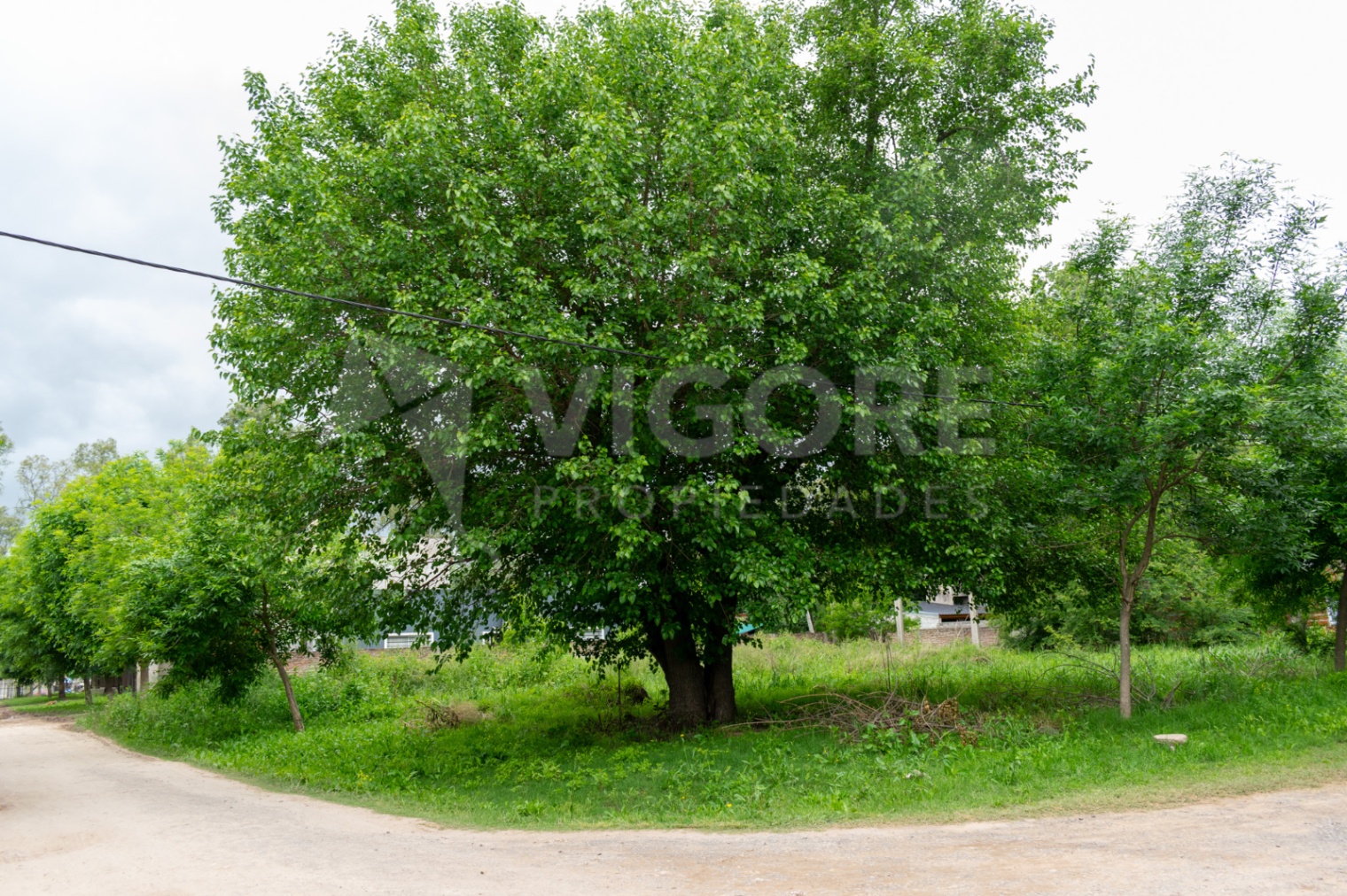 Terreno en Venta en Almirante Brown, G.B.A. Zona Sur