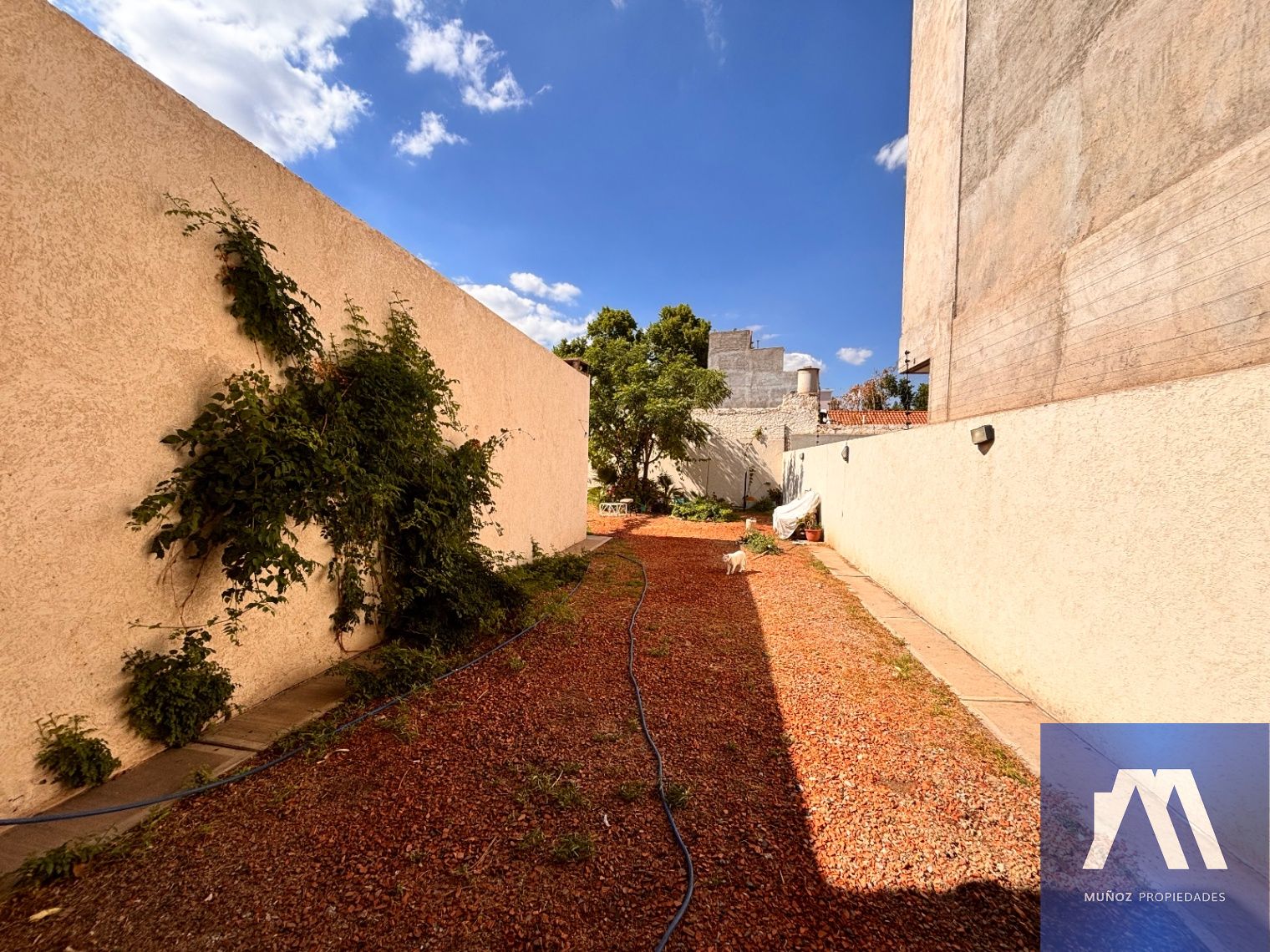 Departamento en Alquiler en Godoy Cruz, Mendoza