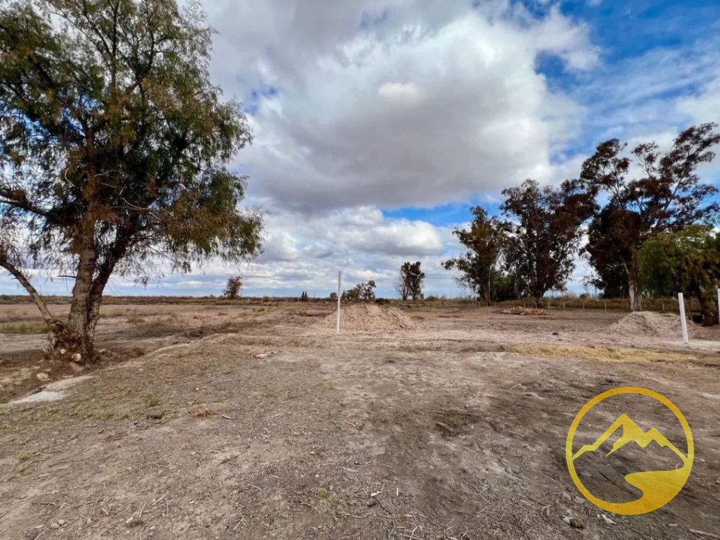 Terreno en Venta en Lavalle, Mendoza
